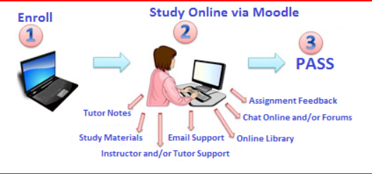 Diagram student on laptop